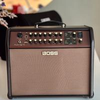 Boss Acoustic Singer Pro