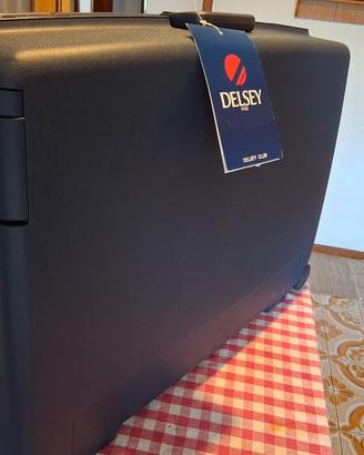 valigia Delsey mai usata