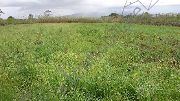 Terreno di 6666 m² a Cellole - Vista 2