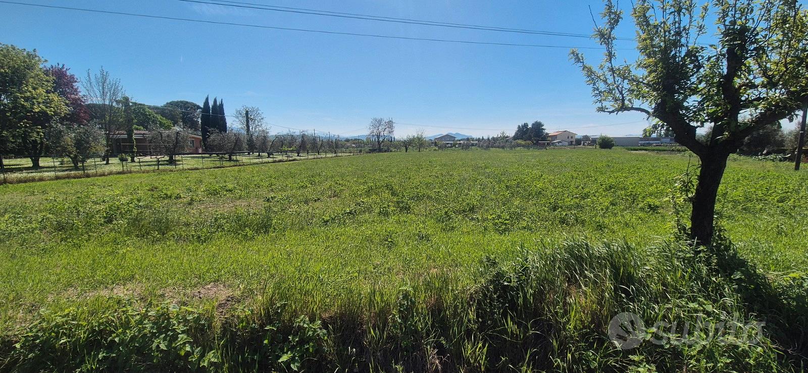 Terreno agricolo in pianura - Vista 4