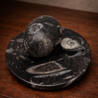 Piatto con “uovo” Sergio Asti marmo fossile anni ’