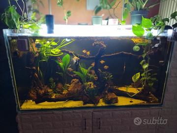 acquario artigianale 