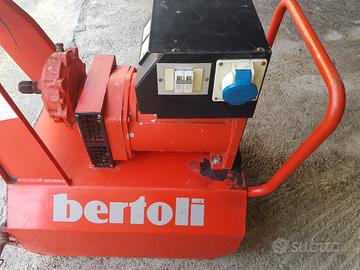 gruppo elettrogeno bertoli 20 kw a cardano 