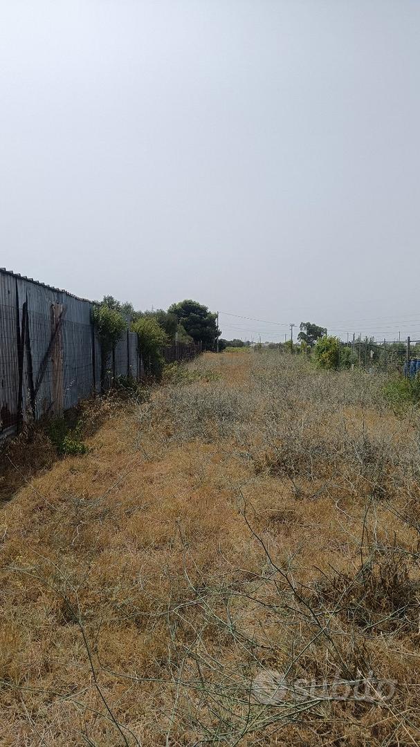 Terreno agricolo Selargius - Vista 3