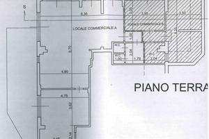 Attività commerciale Nettuno
