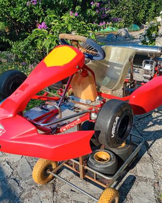 Mini kart Birel 60