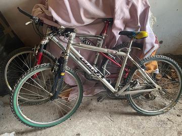 Bici mountainbike