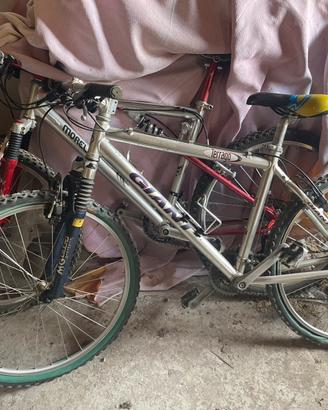 Bici mountainbike