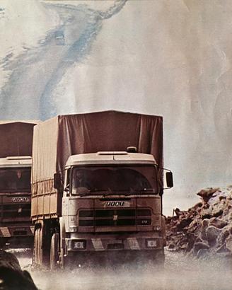 Poster Olio FIAT e autocarro OM 170 anni’70