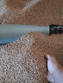 nocciolino anno 2024/25 asciutto e pulito