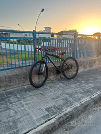 Whellie bike 29