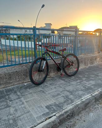 Whellie bike 29