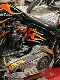 Primaria Aperta Harley-Davidson- Primo Belt Drive 