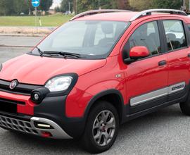 Fiat Panda Cross 1.3 MJT 95 CV S&S 4x4