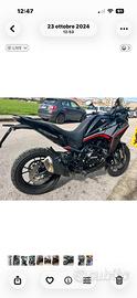 Motomorini xcape