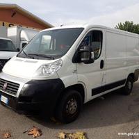 FIAT Ducato CH1 GARANTITO [A293]