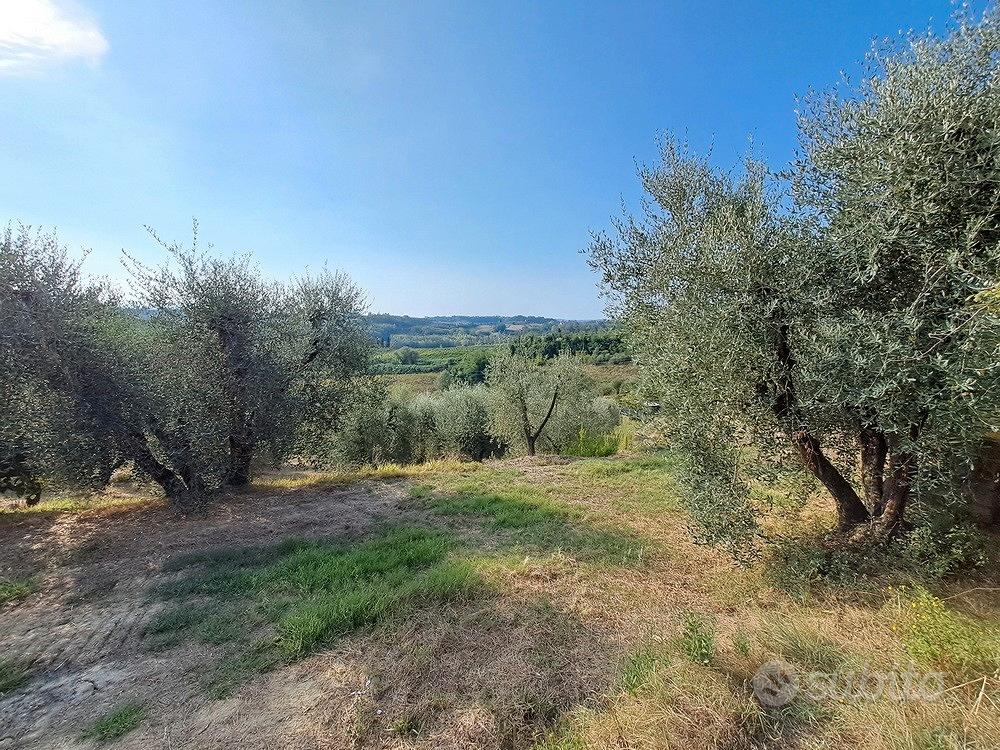 Podere in collina Terricciola Pisa - Vista 2
