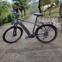 Bicicletta E-bike Trekking Uomo