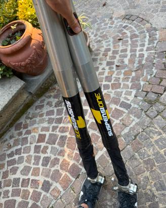 Forcella WP sx cartuccia chiusa pressurizzata