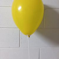  Bacchette porta palloncini 50