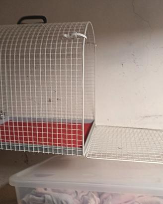 trasportino cane/gatto