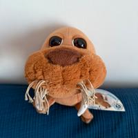 TRICHECO - Ocean Buddies