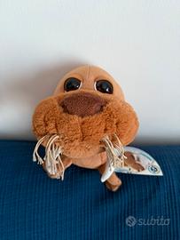 TRICHECO - Ocean Buddies