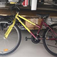 Mountain bike Cirotti