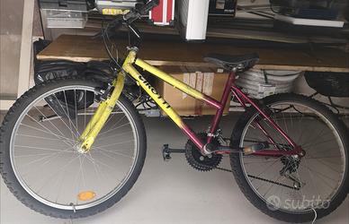 Mountain bike Cirotti