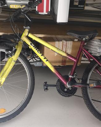 Mountain bike Cirotti
