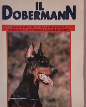 IL DOBERMANN