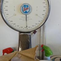 Chiodini x legno e obbistica