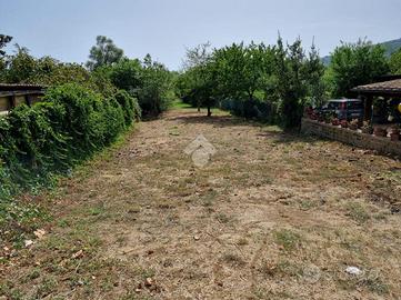 TER. AGRICOLO A TREVIGNANO ROMANO