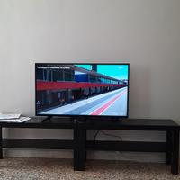STEAM TV 40"