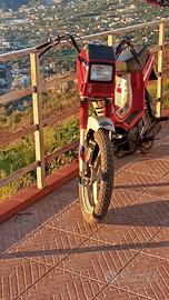 Atala master uber scott