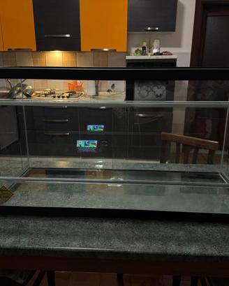 Terrario per rettili