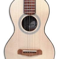 Cavaquinho Rajão Madeirense a 5 Corde - APC 550