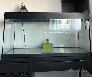 Acquario 200Litri