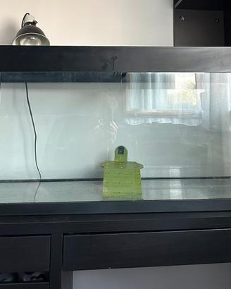 Acquario 200Litri