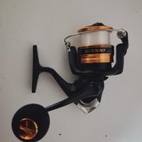 Mulinelli Bolognese/spinning 