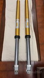 forcelle ohlins motard