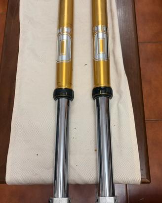 forcelle ohlins motard