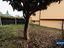 Immagine 25