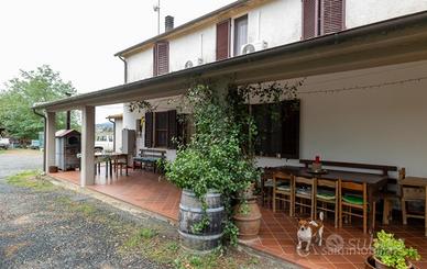 Grande porzione di podere a 15 km da Grosseto