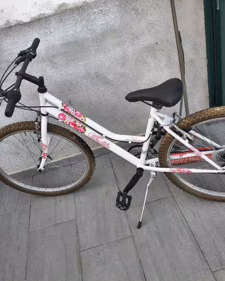 bicicletta da donna