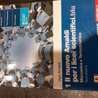 Il nuovo Amaldi per i licei scientifici blu-Vol 1
