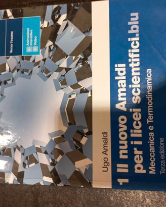 Il nuovo Amaldi per i licei scientifici blu-Vol 1