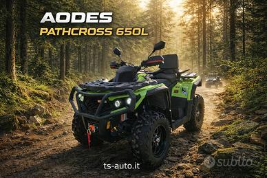 Aodes Pathcross 650 L7e Targa bianca