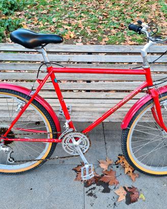 Citybike Vintage telaio acciaio CrMo tubi Tange