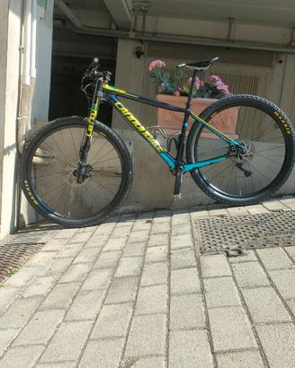 Cannondale carbone 2